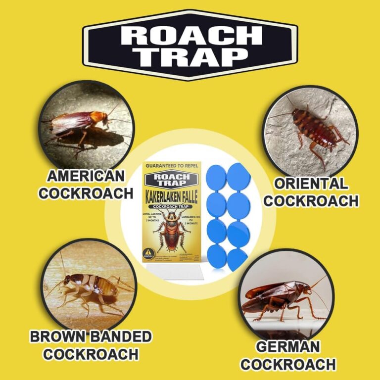 Cockroach Traps for All Living Spaces 8P – Complete Long-Form Review